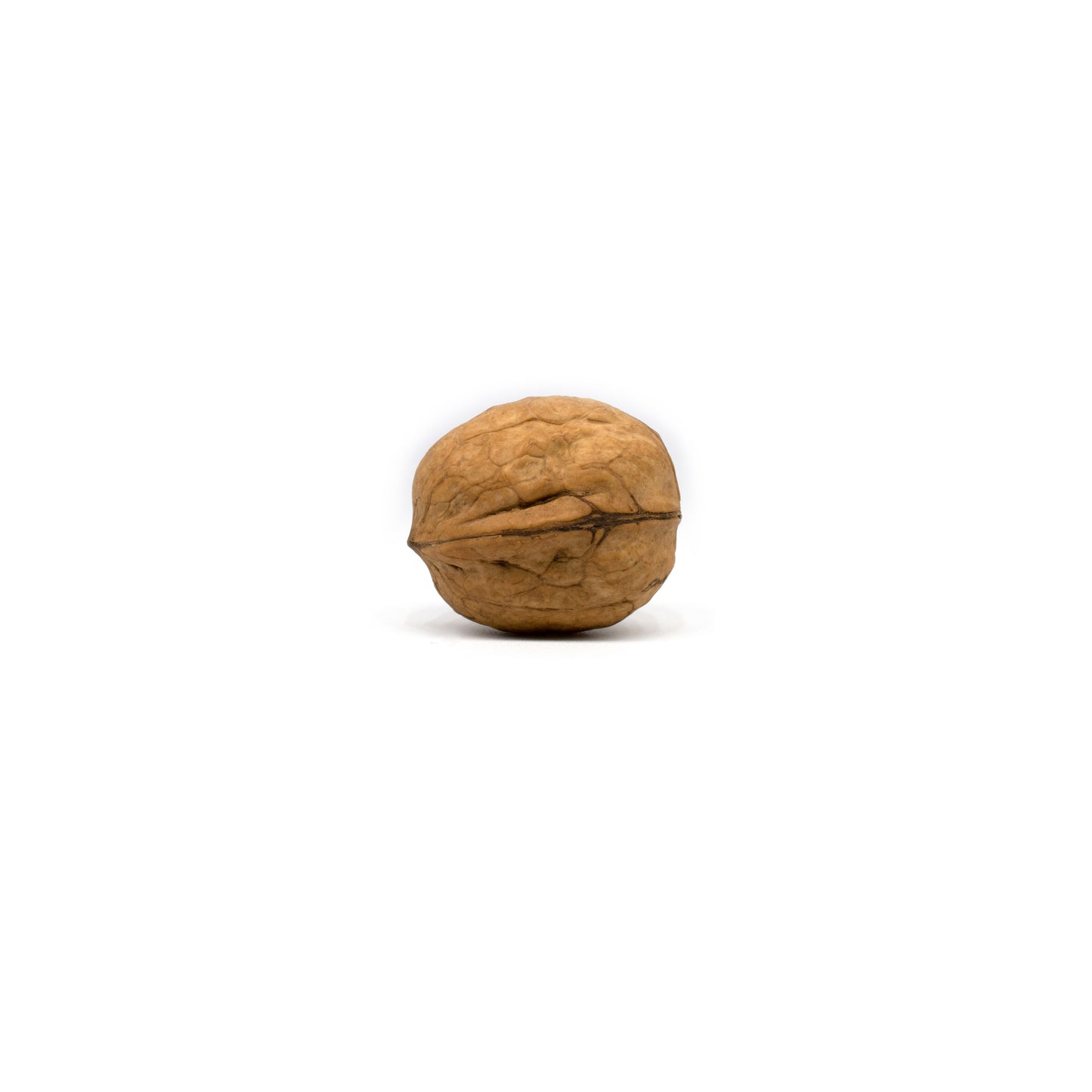 Baby Walnuts Inshell