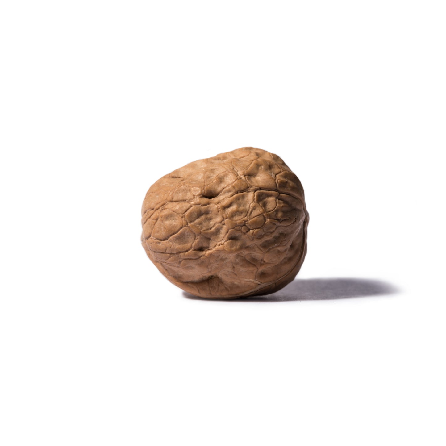 Jumbo Howard Inshell Walnut - 10 kg