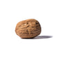 Jumbo Chandler Inshell Walnuts - 12 kg